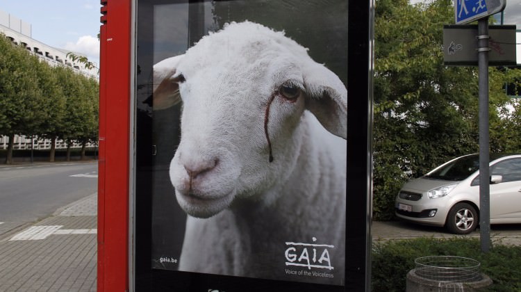 Belçika’da Kurban Bayramı oncesi  tepki çeken afiş