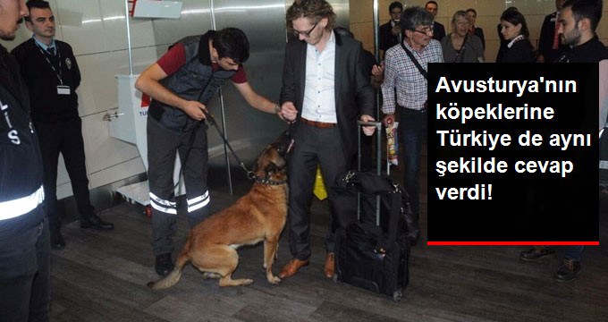 Türk Yolcuları Köpekle Arayan Avusturya’ya, Atatürk Havalimanında Aynen Cevap Verildi