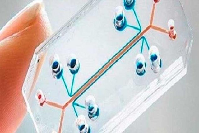 Belçika&rsquo;da Bilim Adamları Kanseri 15 Dakikada Teşhis Edebilen Çip Geliştirildi…