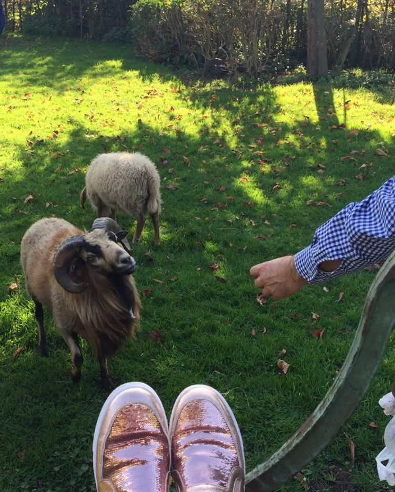 Gurbette kurban hasreti…