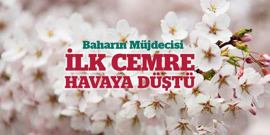 Baharın müjdecisi ilk cemre havaya düştü