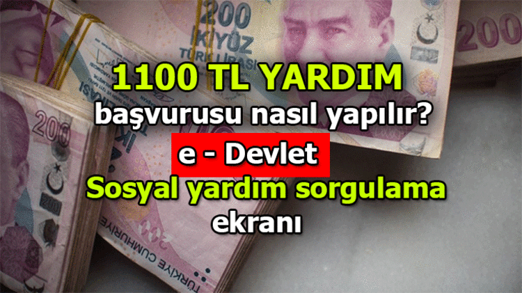 Yardım başvuru ekranı: Sosyal yardım başvurusu nasıl yapılır? 1100 TL E-Devlet pandemi sosyal destek başvuru formu