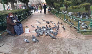 Eskişehir’de 70 yaşındaki fiziksel engelliden ‘kuşlara yem’