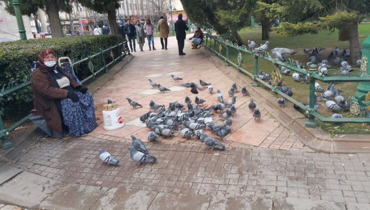 Eskişehir’de 70 yaşındaki fiziksel engelliden ‘kuşlara yem’