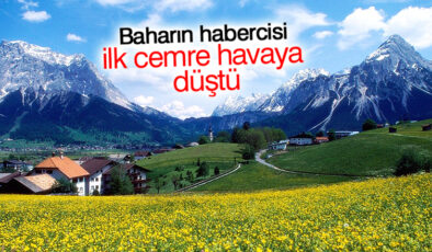 Baharin Habercisi İlk cemre Havaya Düştü