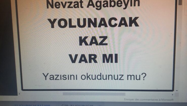 YOLUNACAK KAZ VAR MI