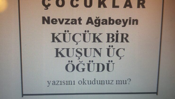 KÜÇÜK BİR KUŞUN ÜÇ ÖĞÜDÜ