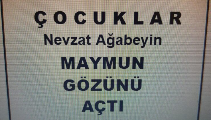 MAYMUN GÖZÜNÜ AÇTI