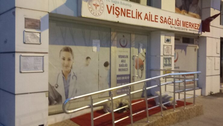 ESKİŞEHİR Vişnelik Aile Sağlığı Merkezi önünde sevimli köpekler geceleri nöbet bekliyor
