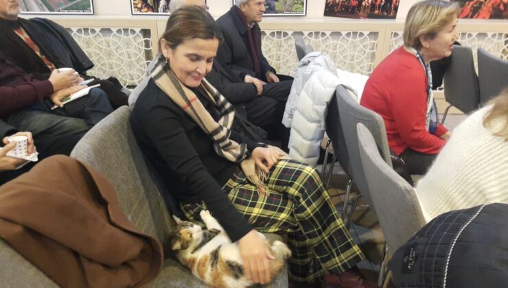 Soğukta üşüyen kedi, Tepebaşı Özdilek Sanat Merkezi’ne sığındı