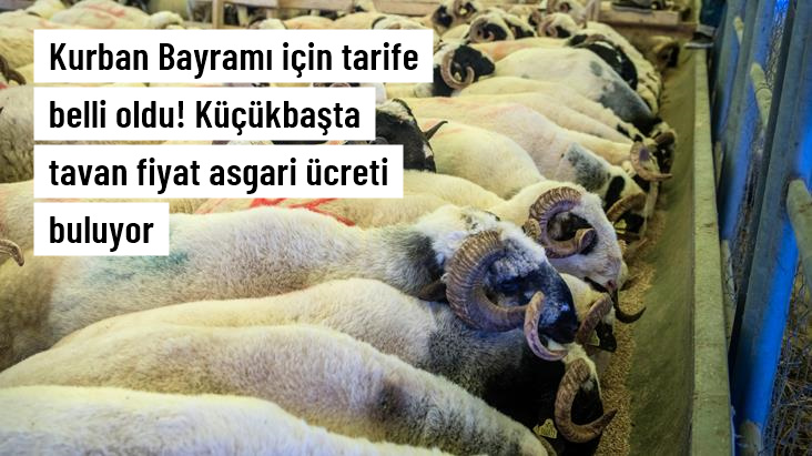Türkiye&rsquo;de  küçükbaş kurbanlık fiyatları da belli oldu…