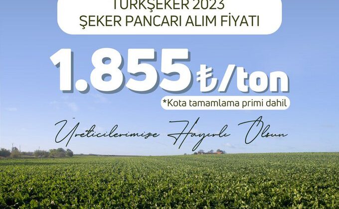 Türkiye&rsquo;de Şeker pancarı alım fiyatı belli oldu