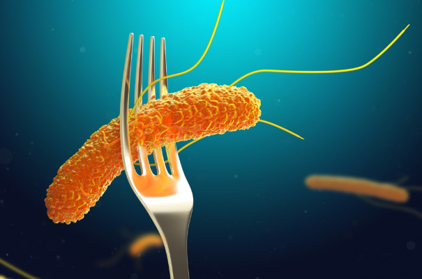Salmonella mı… O da nedir?