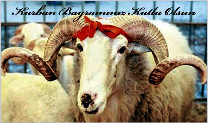 Kurban Bayramınız Kutlu Olsun