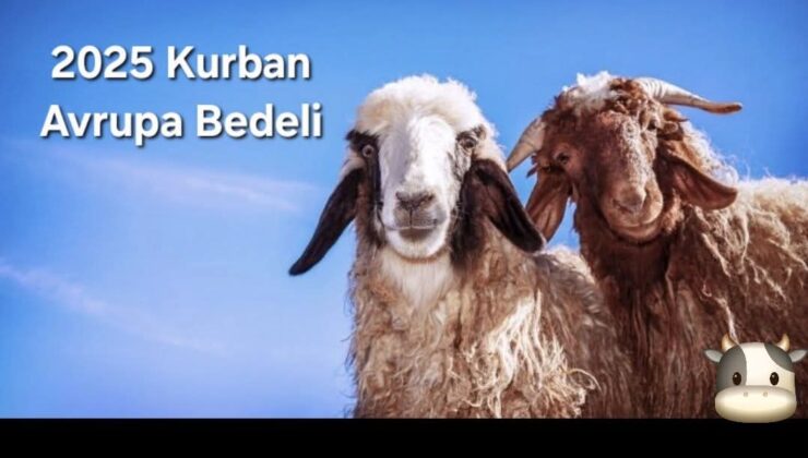 Türkiye ve yurt dışında 2025 vekaletle kurban bedeli ne kadar?