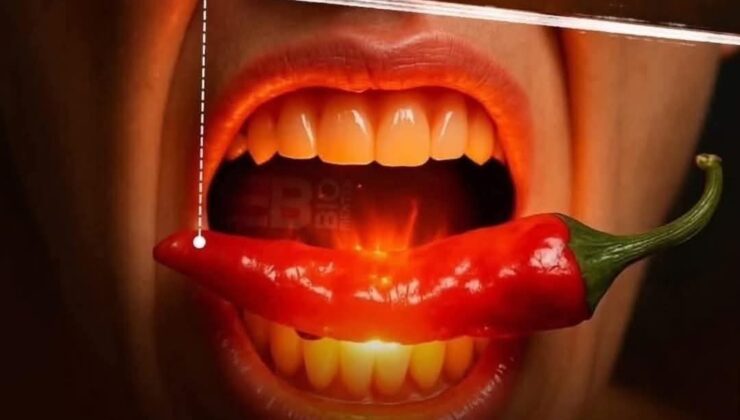 Acı Biber Ağzını Yakmaz… Beynini Kandırır!