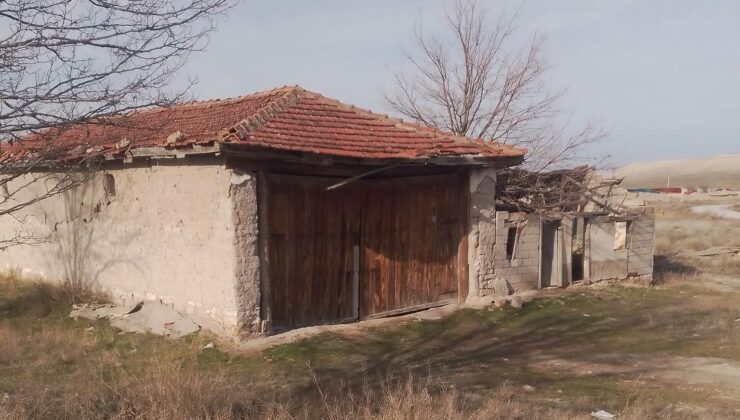 EMİRDAG CAMİLİ KÖYÜN&rsquo;DE………….. ZERDALİ ÇEKİRDEĞİ