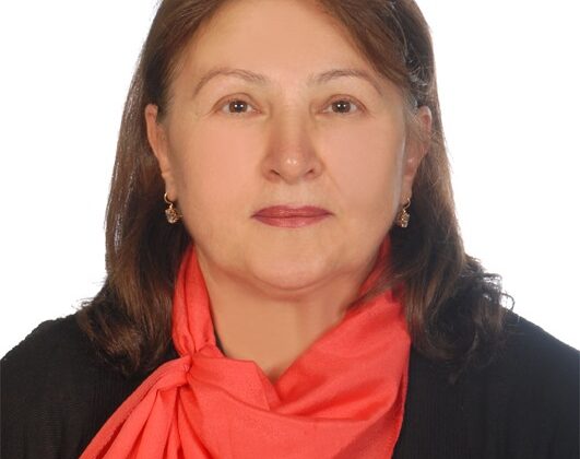 Anadolu Çınarları’ndan Mahalle Odaklı Sosyal Reform:  “MADEK” Modeli Neden olmasın ?