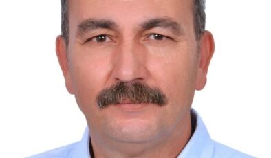 Hollanda Hastalığı